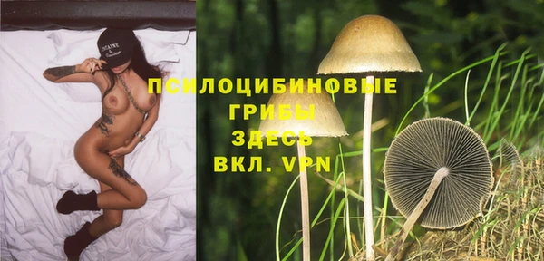 таблы Алзамай