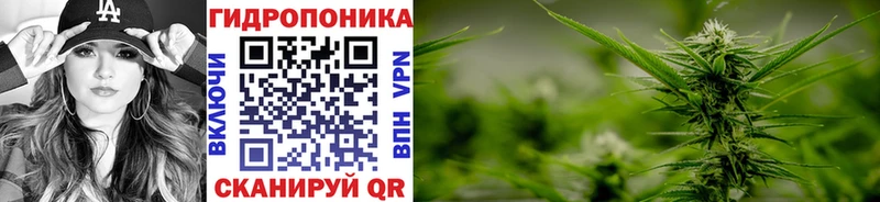 Конопля гибрид  Краснодар 